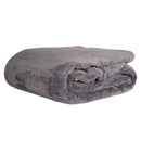 Cobertor Toque de Seda 500g/m² Living Soft