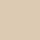 Tapete Dry Ultra Absorvente 50x70 Antiderrapante Toque Macio