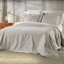Jogo de Duvet King Altenburg Algodão Lux Cinza Inspiração 200 Fios 100% Algodão (3 Peças - 2,80m x 2,40m)