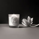Vela Perfumada L'envie Into the Night – 210g