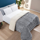 Coberdrom Queen Petit Poá Dupla Face com Sherpa